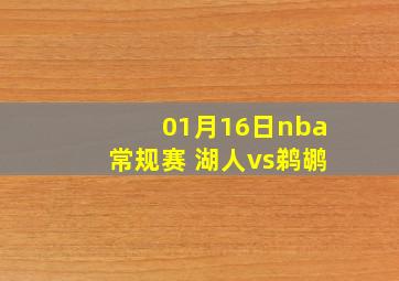 01月16日nba常规赛 湖人vs鹈鹕